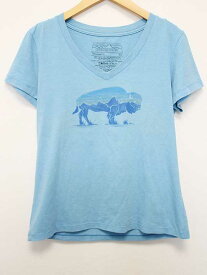 △patagonia/パタゴニア△プリントTシャツ/カットソー/Vネック/半袖　ライトブルー/水色　レディース　XS　【中古】　夏 814032