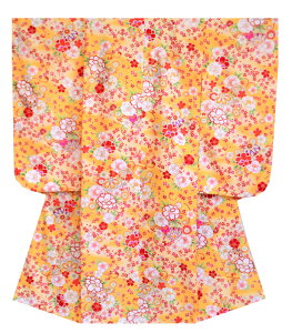 ܎O 753  7 ̎q lg Pi Ƀ} R ̔ w