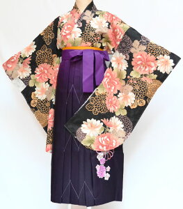 Iׂ2F Ǝ уZbg w wZ w ڑ   Zbg WjA ̎q fB[X  e 6 ̔ w wZbg wZbg