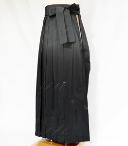 Ǝ Ӊ q Of[V Ǝ  {JV n O[ w WjA w Z吶 ̔ w