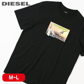 ■DIESEL ディーゼル メンズ■グラフィックプリント クルーネック 半袖Tシャツ カットソー【T-JUST-A34】【サイズM・L】【1サイズ程大きめのサイズ感】【ブラック】die-m-t-e4-369 die-m-t-e4-368《メーカー希望小売価格11,000円》