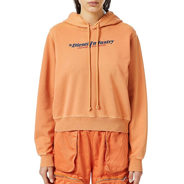 DIESEL F-REGGY-HOOD-IND グレー XSサイズ