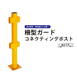 pCvK[h ^K[h RlNeBO|Xgi1jgĎ Z[teB[K[h hoA K[hpCv K[h GDP-CNT KIKAIYA