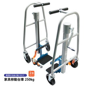 teBO[[ Ƌړ 250kg 2Zbg őύډ׏d500kg ̔@ dʕWbLAbv CD-250 KIKAIYA