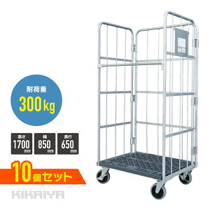 [{bNXpbg J[Sei[ JS W850×D600×H1700mm ω׏d300kg Ɩp Vo[O[ ܂肽 nCei[ ^Cv e y10Zbgz SET-RB-07 KIKAIYA