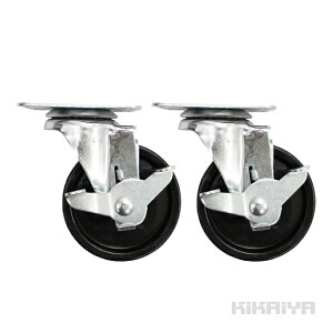 ݃LX^[ iCԗ u[Lt 2Zbg 100mm tsb`76×44mm m[pN^C DIY  LX^[ RK5-2 KIKAIYA