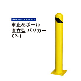 KIKAIYA 車止めポール 直立型 H910mm バリカーガードパイプ CP-1