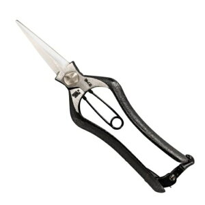 y~ zva@VmMt 195mm^~ ~͓/ ͂ nT~