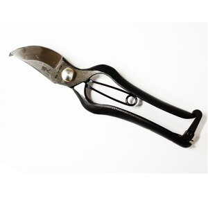 y~́zl@B^@200mm^~ ~͓/ ͂ nT~