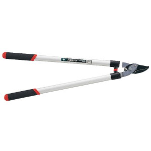 y~ zN葾} /~ ~͓ / ͂ nT~ /