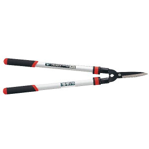 y~ zLяkݎ݊ /~ ~͓ / ͂ nT~ /