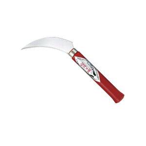 y~́zXeX拘 /~ ~͓  / /|