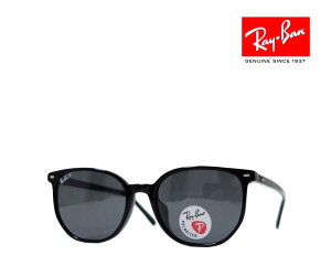 yRay-Banz Co@TOX@RB2197F@901/48@ubN@ΌY@ttBbgf@Ki