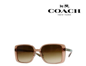 【COACH】コーチ サングラス 0HC8375 574974 トランスペアレントサドル Disneyコラボ 国内正規品