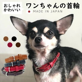 楽天市場 本革 首輪 胴輪 リード 犬用品 ペット ペットグッズの通販