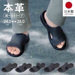 { {v T_ Iׂ5fUC ₷ ɂ ɂ  h\[ tBbg 傫TCY TCY Y fB[X U[ Xbp  ubN  