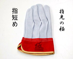 Ɗv  yw̋Ɂz wZ v wD KS453