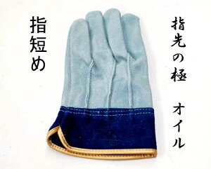 Ɗv  yw̋Ɂz wZ ICH v܁@wD KS454