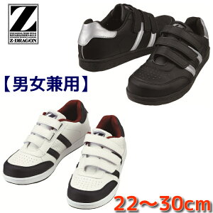 SC Xj[J[  fB[XTCYΉ 傫TCY jp }WbN   S3172 d Z[teB[V[Y pTCY