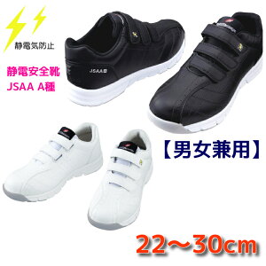 SC Ód Xj[J[ fB[XTCYΉ 傫TCY }WbN  S6172 d Z[teB[V[Y JSAA A pTCY