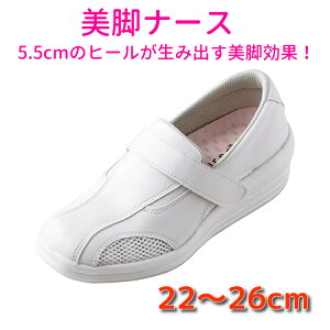 i[XV[Y  V[Y y ɂ ɂ fB[X xmSi[X ri[X FT-3 d Ȃ  É 