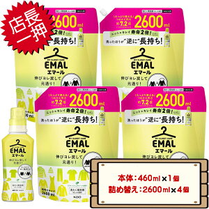 yP5{}\聚z RXgR ԉ G}[ tbVO[ ꒅp  { 460ml+lߑւ 2600ml Zbg ycostco EMAL Refresh Green Delicate Fabric Detergent 