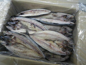 kƖʑʁElI銱250g×12ZbgkElk`́΁ETo