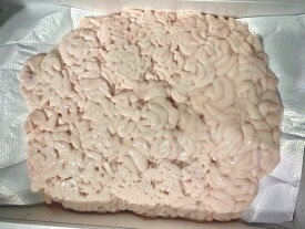 〔期間限定〕〔特上〕北海道産真タチ（真ダチ）1kg〔B〕北港直販☆真鱈・たら・タラ・タチ・ダチ・たち〔代引き不可〕
