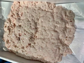 〔期間限定〕〔3特〕北海道産真タチ（真ダチ）1kg〔B〕北港直販☆真鱈・たら・タラ・タチ・ダチ・たち〔代引き不可〕