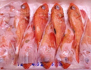 kCYIQ300gO×2kKlk`́LLEL`W߂