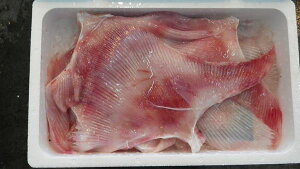 kCYނJXxiGCqj4kgi2`4jkBlk`́EEJXxEJX؁kwɑΉłȂꍇLlksl