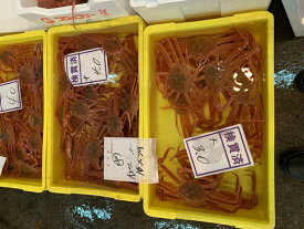 北海道産生ズワイガニ5kg（15尾前後）〔B〕北港直販☆ずわい・蟹・かに〔代引き不可〕
