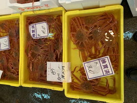 〔送料無料〕北海道産生ズワイガニ6kg（15～25尾）〔B〕北港直販☆ずわい・蟹・かに〔代引き不可〕