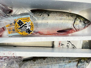 kCYVRэ(Y)3.5kgOiIXjkBlk`́ႯEVPksl