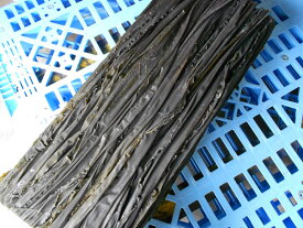 〔業務用大量・お買い得〕〔送料無料〕白口浜の業務用促成真昆布5kg〔E〕北港直販☆こんぶ・コンブ〔同梱不可〕