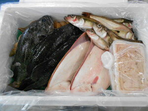 〔送料無料〕特選北海道産鮮魚セット〔E〕北港直販〔同梱不可〕〔着日指定不可〕貝