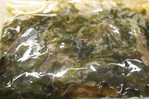 kƖpʁElƂ߂̃shݖ1kgkElk`́CJEGEzERuEԁ