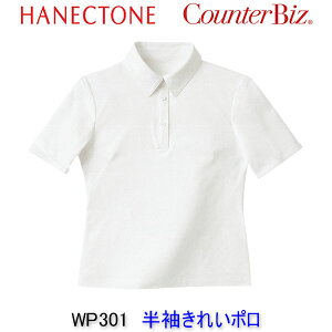 nlNg[/WP301/ꂢ|/GXe/jtH[//Ōt/GXe /Ōt jtH[