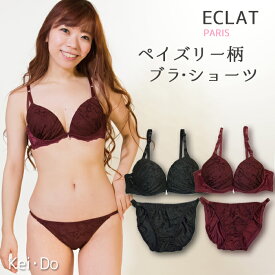 【メール便送料無料】 ブラジャーショーツセットE・Fカップ ペイズリー柄ジャガードブラ・ショーツセット ラッセルレース ブラショー インナー