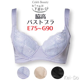 【メール便送料無料】ブラジャー 脇高 Eカップ Fカップ Gカップ ブラジャー 脇肉 横流れ防止 脇高ブラ 大きいサイズ 女性 下着 脇肉 谷間 レディース 寄せ 上げ 補正下着 G75 G85 G90 F80 F90