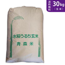 楽天市場】玄米 30kg 規格外の通販