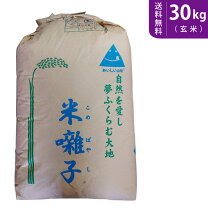 楽天市場】はえぬき 30kg（玄米｜米・雑穀）：食品の通販