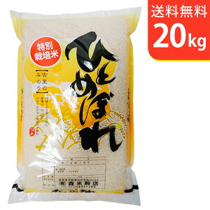 yzߘa7NY V 茧ԊYЂƂ߂ڂ 20kg ʍ͔|āysmtb-TDzysaitamaz