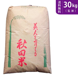 yzߘa7NY V HcYTLzR() 30kg ʍ͔|āysmtb-TDzysaitamaz