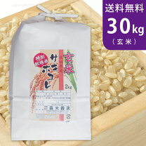 楽天市場】米30kg あきさかりの通販
