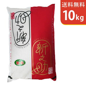 【送料無料】令和7年産 新米 新潟県産 新之助 10kg【smtb-TD】【saitama】