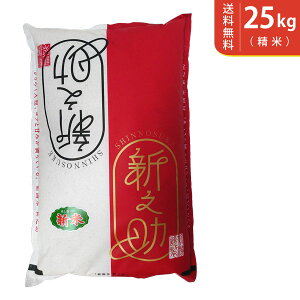 【送料無料】令和7年産 新米 新潟県産 新之助 25kg【smtb-TD】【saitama】