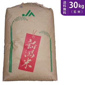 【送料無料】令和7年産 新米 新潟県産 新之助 玄米30kg【smtb-TD】【saitama】