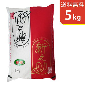 【送料無料】令和7年産 新米 新潟県産 新之助 5kg 【smtb-TD】【saitama】