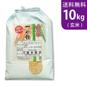 yzߘa7NY Vāyāz R`YP 10kg Y ʍ͔|āysmtb-TDzysaitamaz